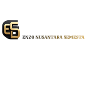 logo home enzo